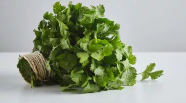 garnishing-instructions-image